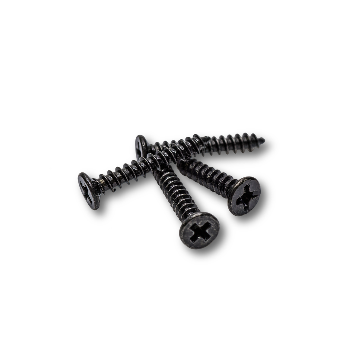 Enclosure Replacement Part- Screws for PVC (10ct)