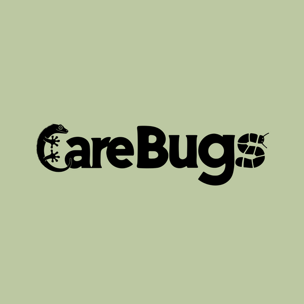 CareBugs original logo by Alex Ristic on approved sage green background