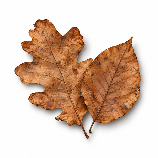 Leaf Litter